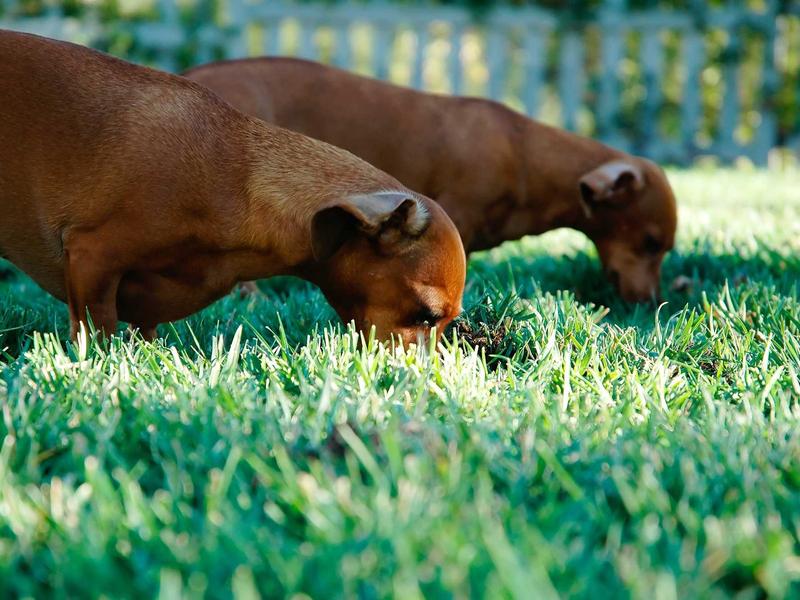 sudoku patience training screenshot 4
