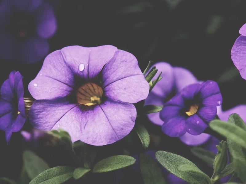 sudoku patience training screenshot 2